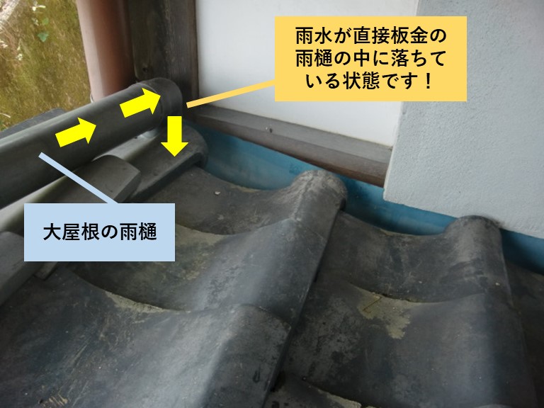 岸和田市の大屋根の雨水が直接雨樋の中に落ちています！