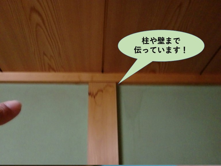 熊取町の和室の柱や壁まで伝っています