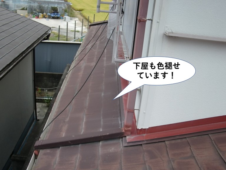 貝塚市の下屋も色褪せています