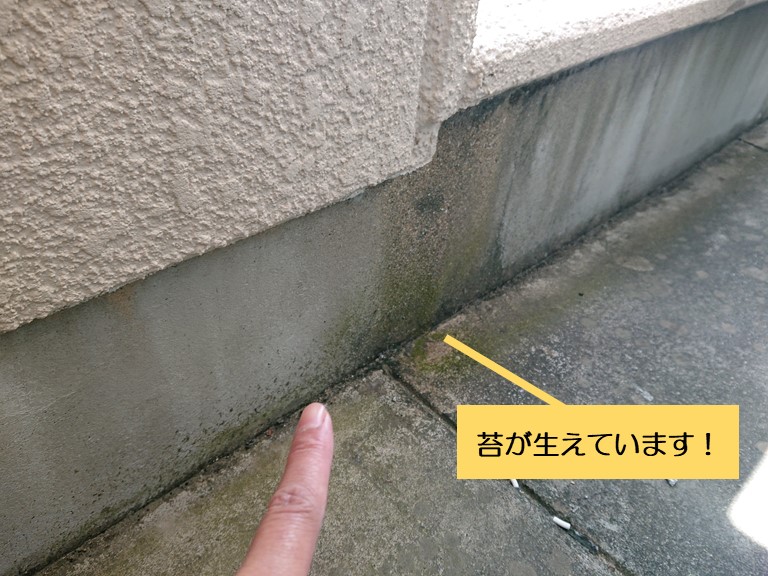 泉南市のベランダに苔が生えています