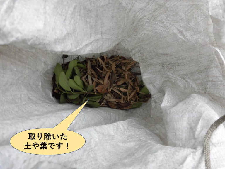 和泉市の樋の中から撤去した土や葉です