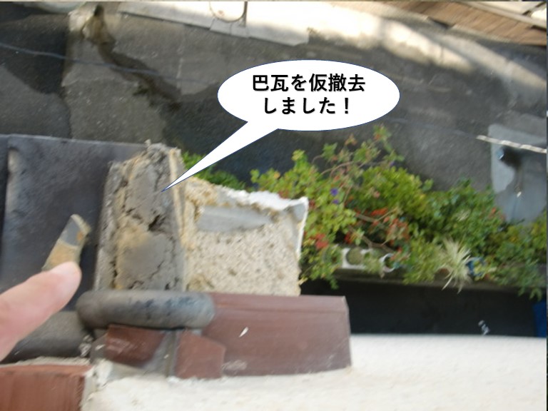 貝塚市の巴瓦を仮撤去