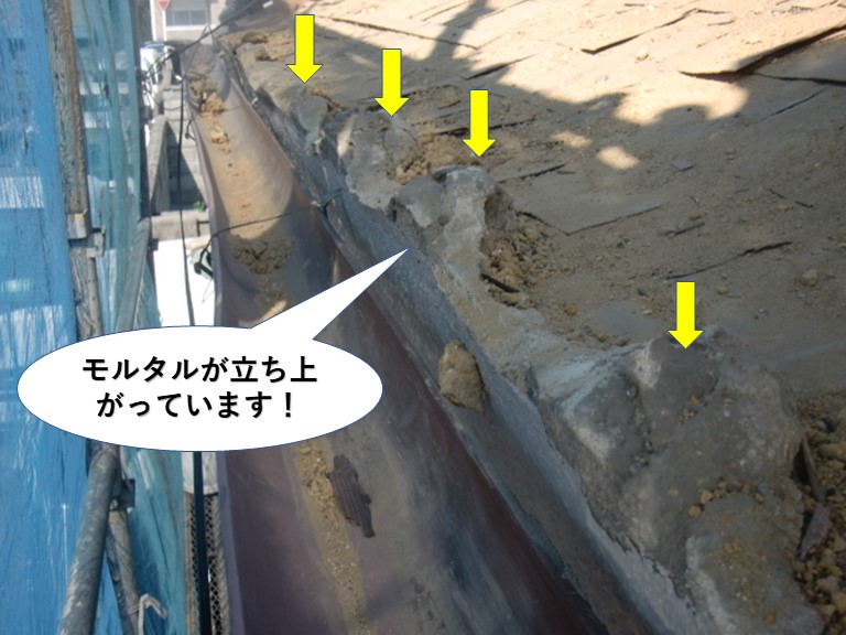 泉北郡忠岡町でモルタルが立ち上がっています