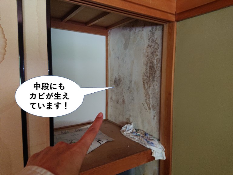 泉大津市の中段にもカビが生えています