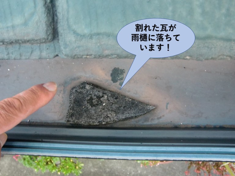 阪南市の割れた瓦が雨樋に落ちています