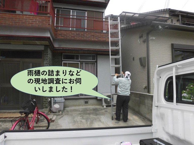 泉大津市で雨樋の詰まりなどの現地調査にお伺いしました