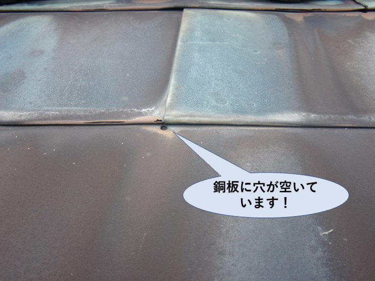 下屋の銅板に穴が空いています