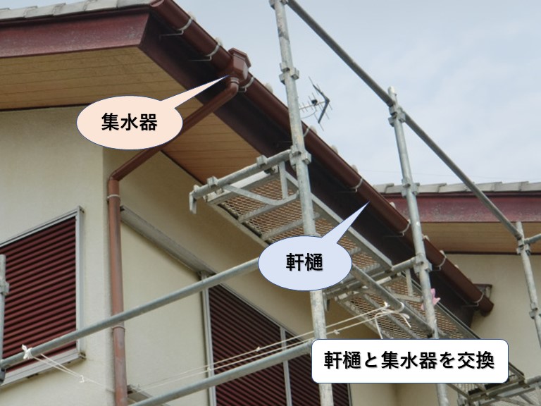 和泉市の軒樋と集水器を交換