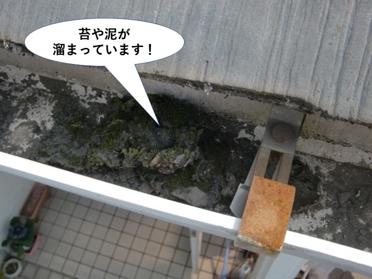 忠岡町の雨樋に苔や泥が溜まっています