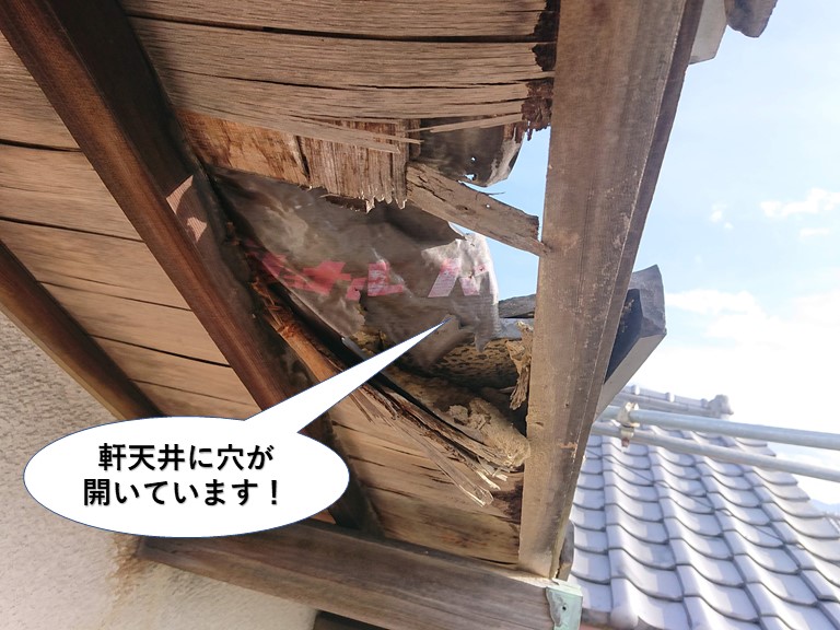 泉南市の軒天井に穴が開いています