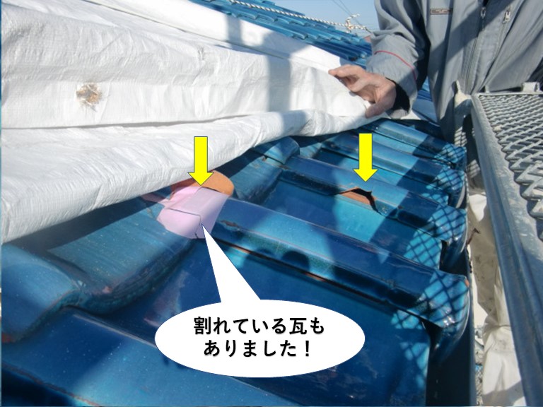 岸和田市の屋根瓦が割れている瓦もありました