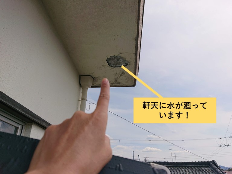 和泉市の軒天に水が廻っています