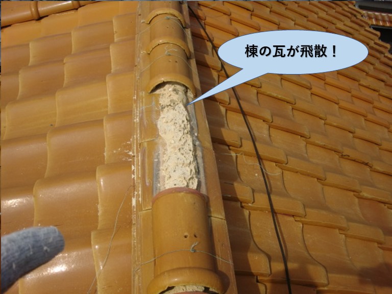 泉大津市の棟の瓦が飛散