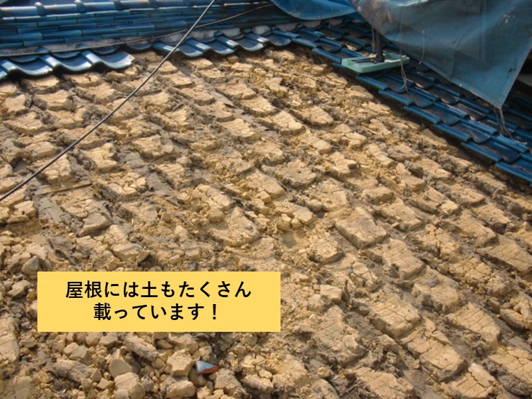 忠岡町の屋根には土もたくさん載っています