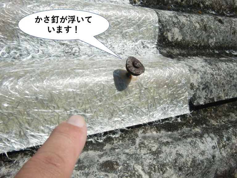 和泉市のかさ釘が浮いています