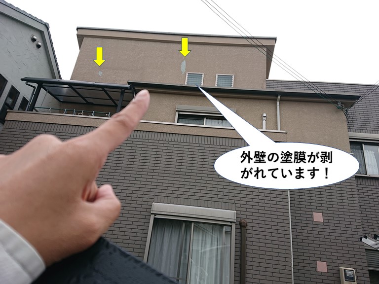 泉大津市の外壁の塗膜が剥がれています