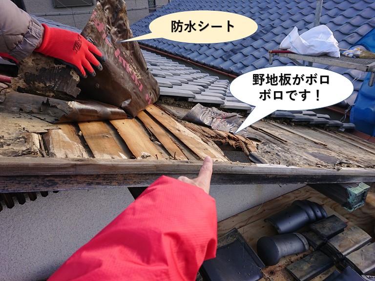 泉南市の野地板がボロボロです