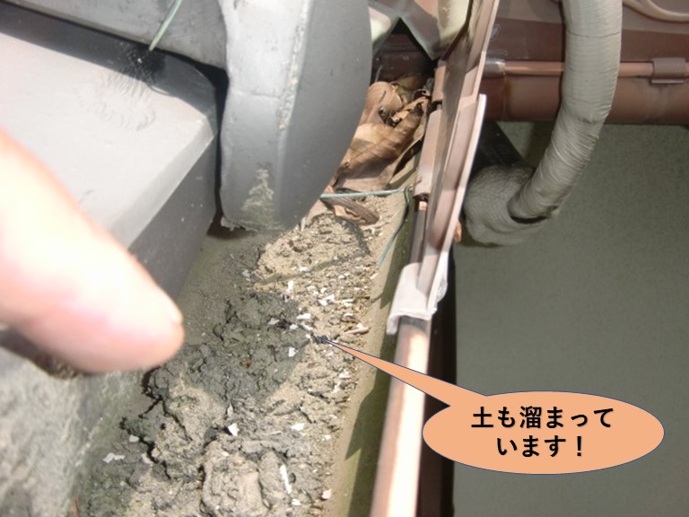 岸和田市の軒樋に土も溜まっています
