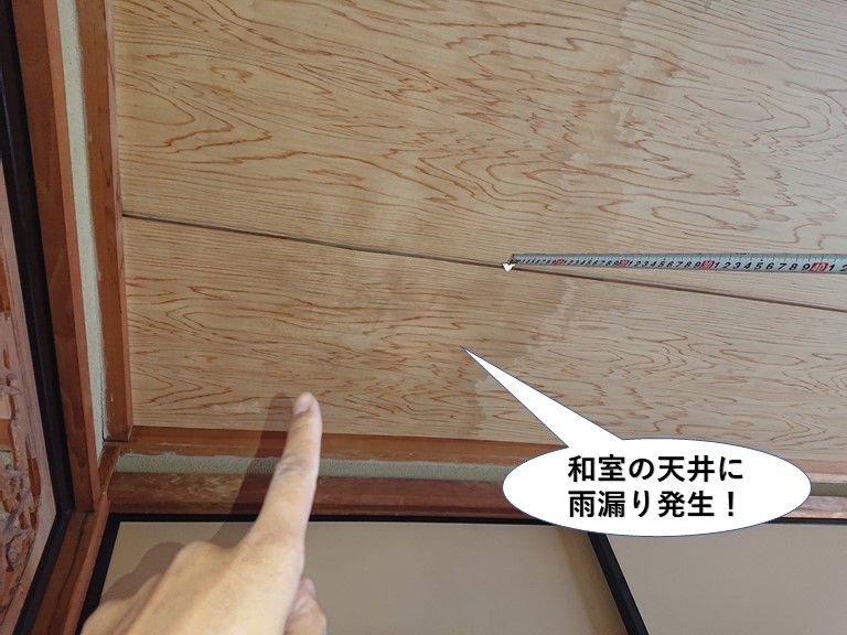 泉佐野市の和室の天井に雨漏り発生