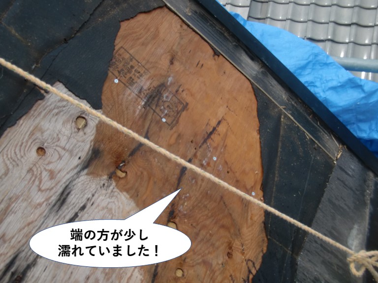 貝塚市の屋根の野地板の端の方が少し濡れていました