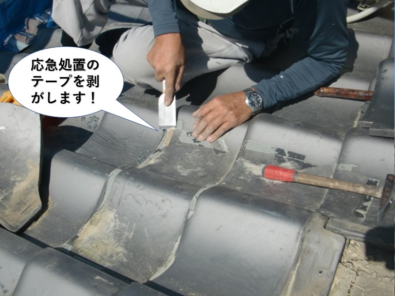 岸和田市の応急処置のテープを剥がします