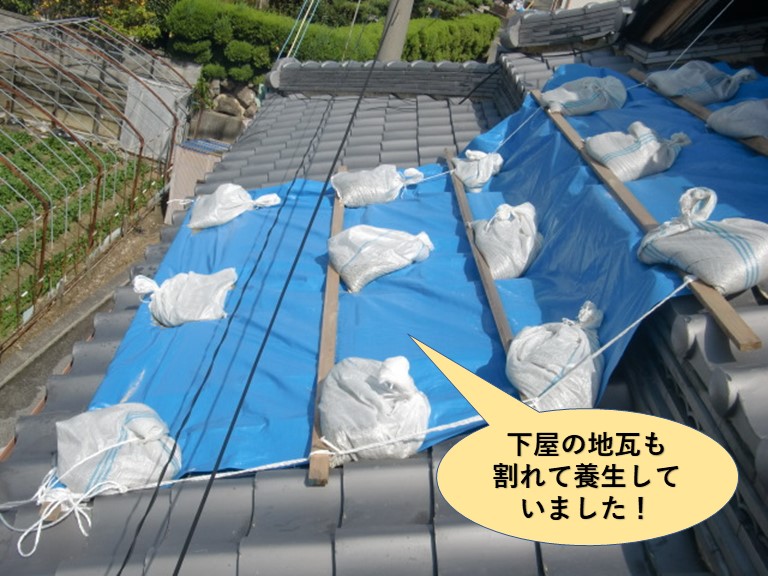 岸和田市の下屋の地瓦も割れて養生していました