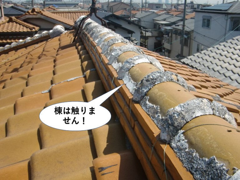 泉佐野市の棟は触りません