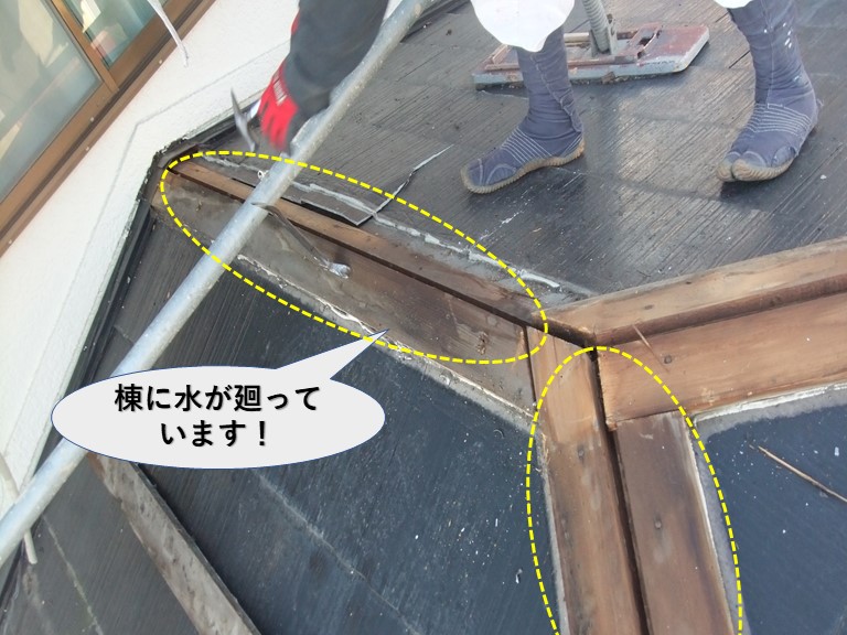 岸和田市の下屋の棟に水が廻っています