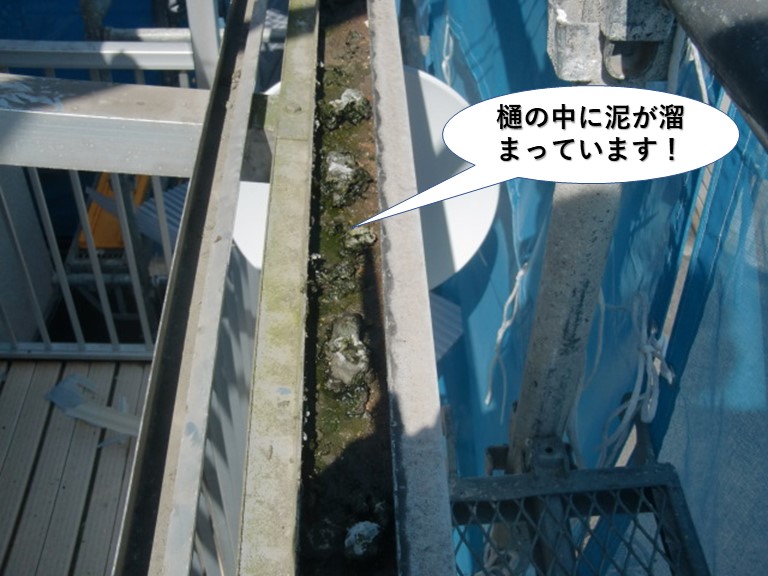 泉佐野市のテラスの樋の中に泥が溜まっています