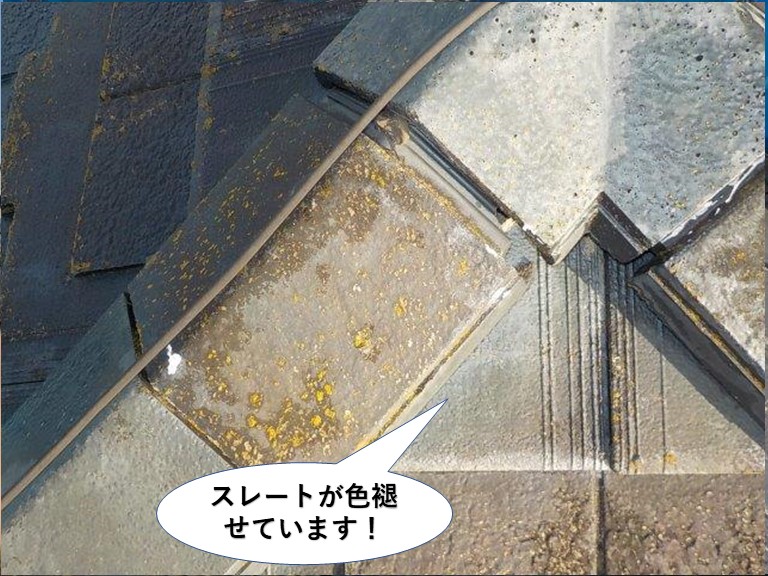 忠岡町のスレートが色褪せています