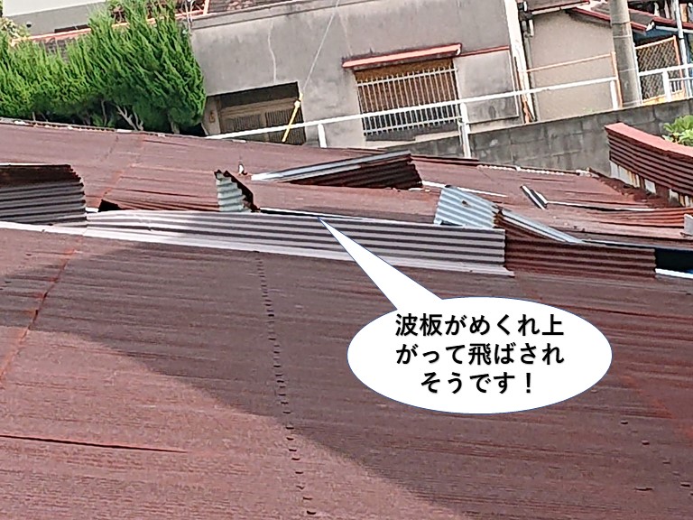 貝塚市のトタン波板がめくれ上がって飛ばされそうです