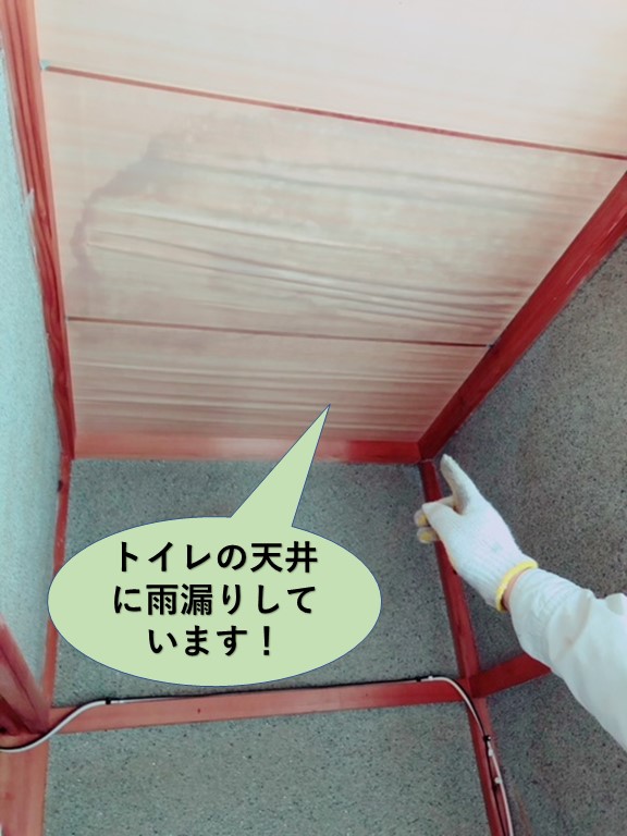 忠岡町でトイレの天井に雨漏りしています