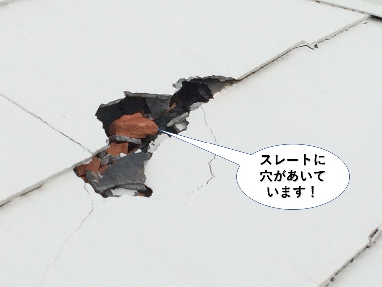 泉南市のスレートに穴が開いています