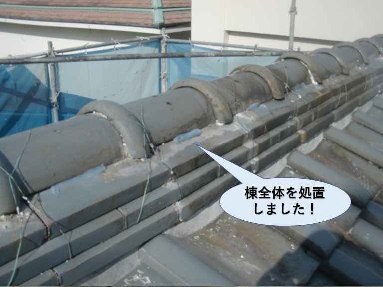 泉佐野市の棟全体を処置しました！