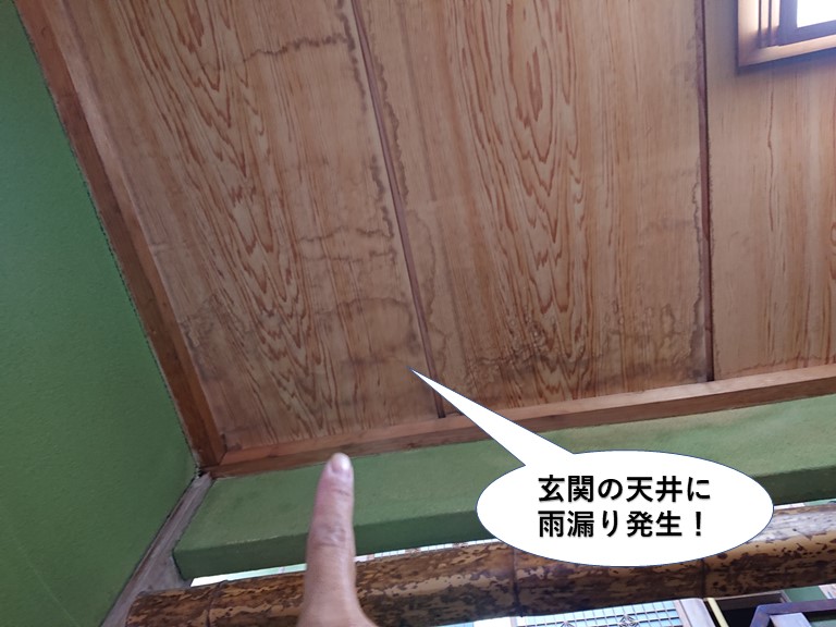 阪南市の玄関の天井に雨漏り発生