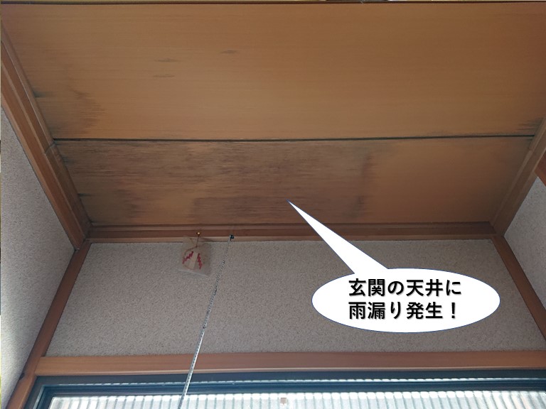 泉大津市の玄関の天井に雨漏り発生