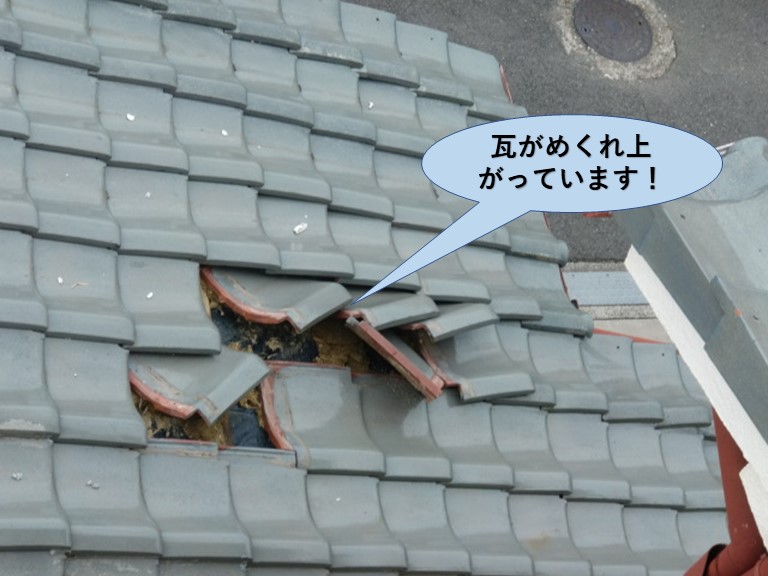 忠岡町の瓦がめくれ上がっています