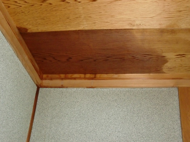 岸和田市の家の玄関天井に雨漏り