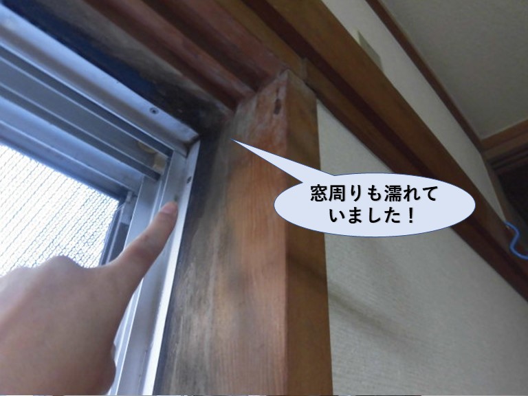 泉佐野市の窓周りも濡れていました