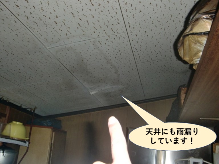 岸和田市のキッチンの天井にも雨漏りしています