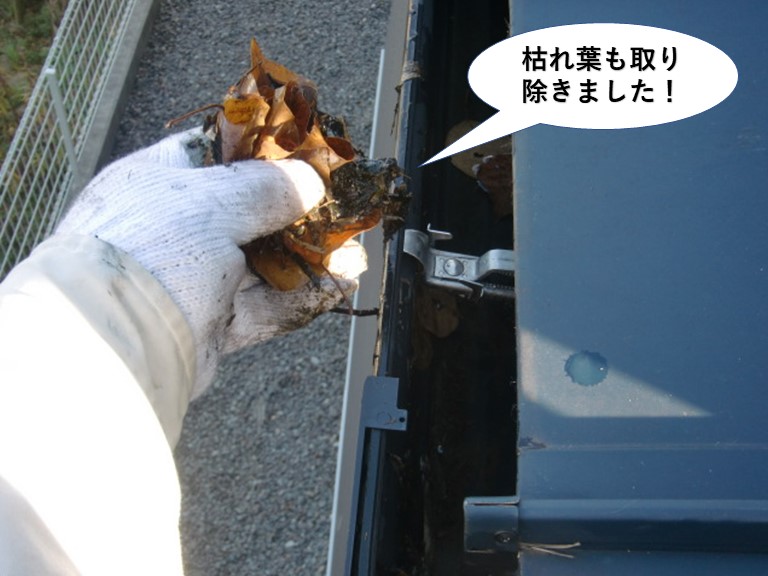 高石市の樋に詰まった枯れ葉も取り除きました