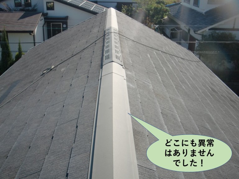 阪南市の屋根はどこにも異常はありませんでした