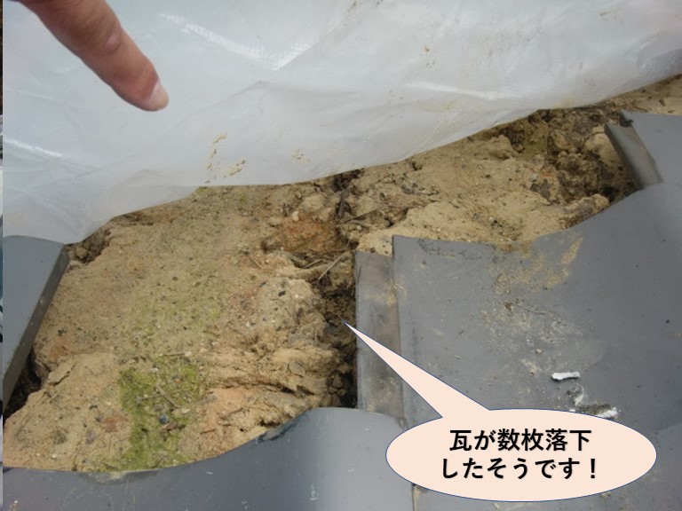 岸和田市の瓦が数枚落下したそうです