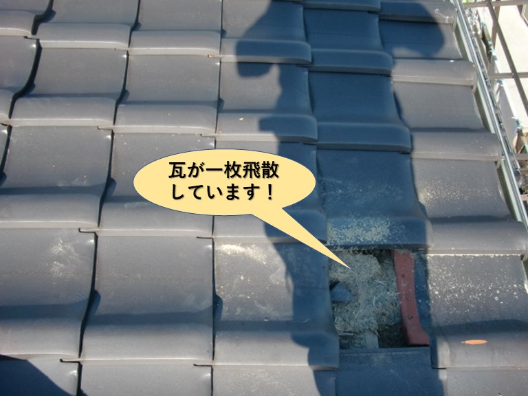和泉市の瓦が1枚飛散しています