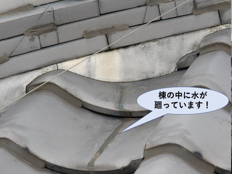 岸和田市の棟の中に雨が入っています！