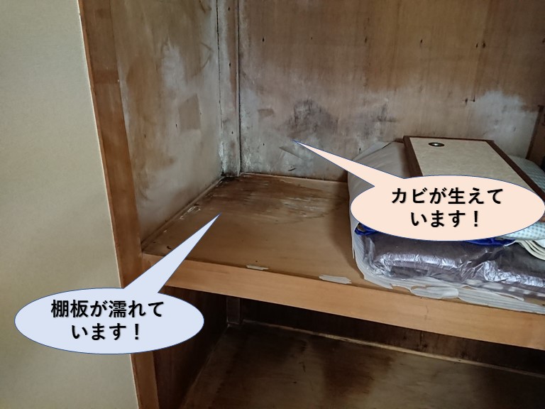 泉佐野市の押し入れの中で雨漏り発生