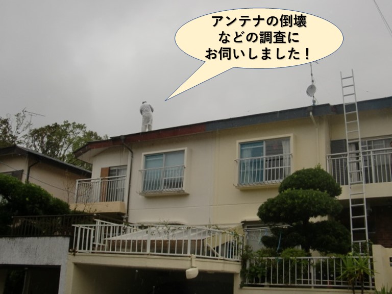 岸和田市のアンテナ倒壊などの調査