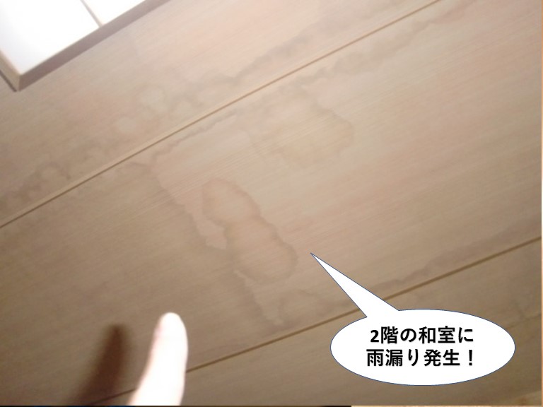 熊取町の2階の和室に雨漏り発生