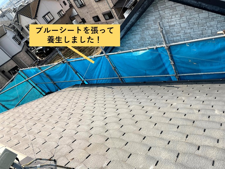 熊取町で屋根にブルーシートを張って養生