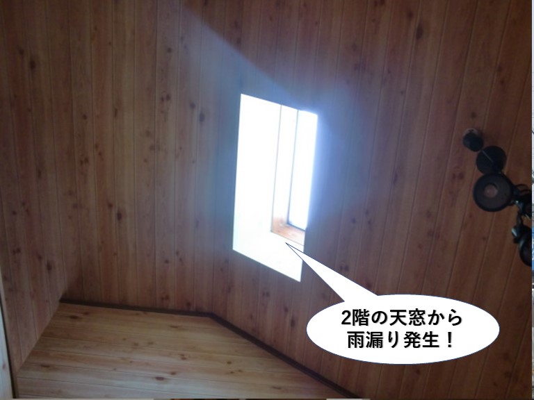 和泉市の2階の天窓から雨漏り発生